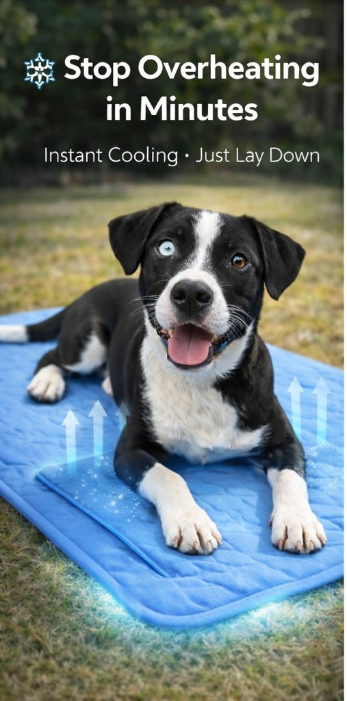 Pet Cooling Mat