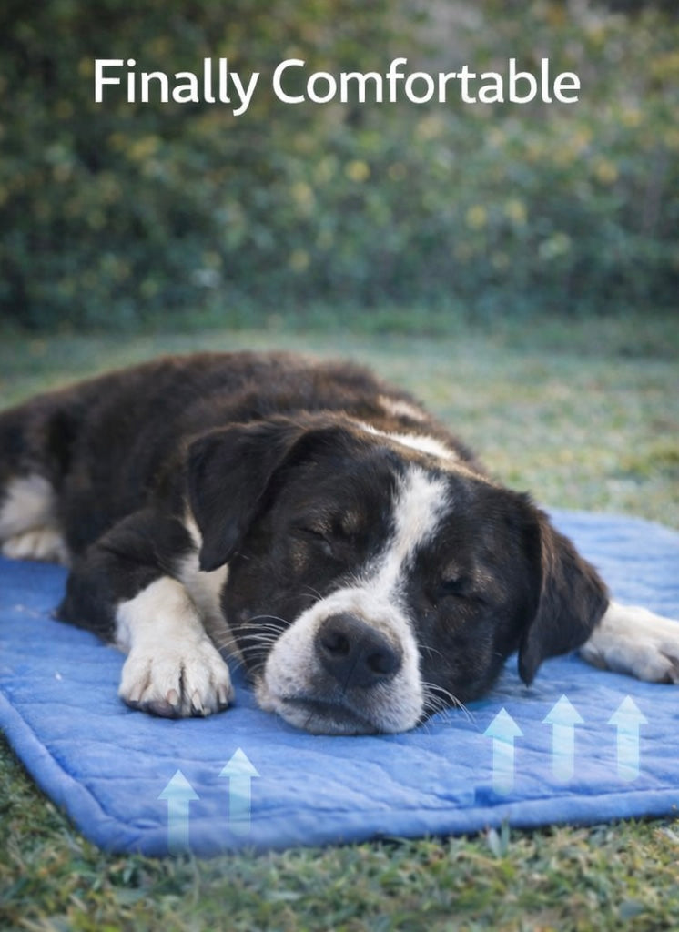 Pet Cooling Mat