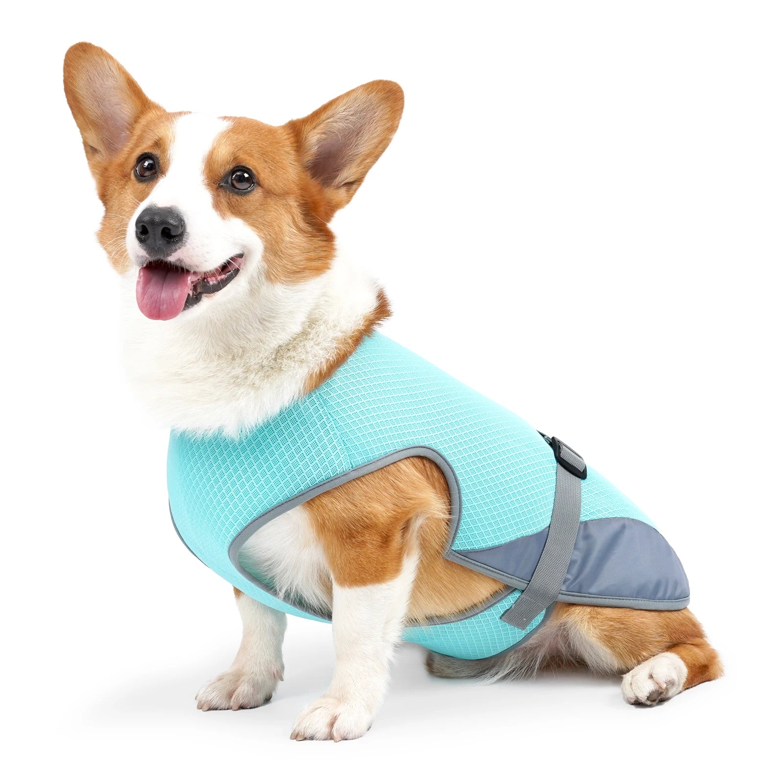 Elsa & Jax Essentials™ Cooling Vest
